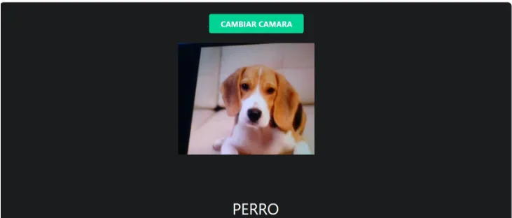 Imagen Clasificador Perros y gatos: Pagina web muestra el resultado de una imgane de un perro